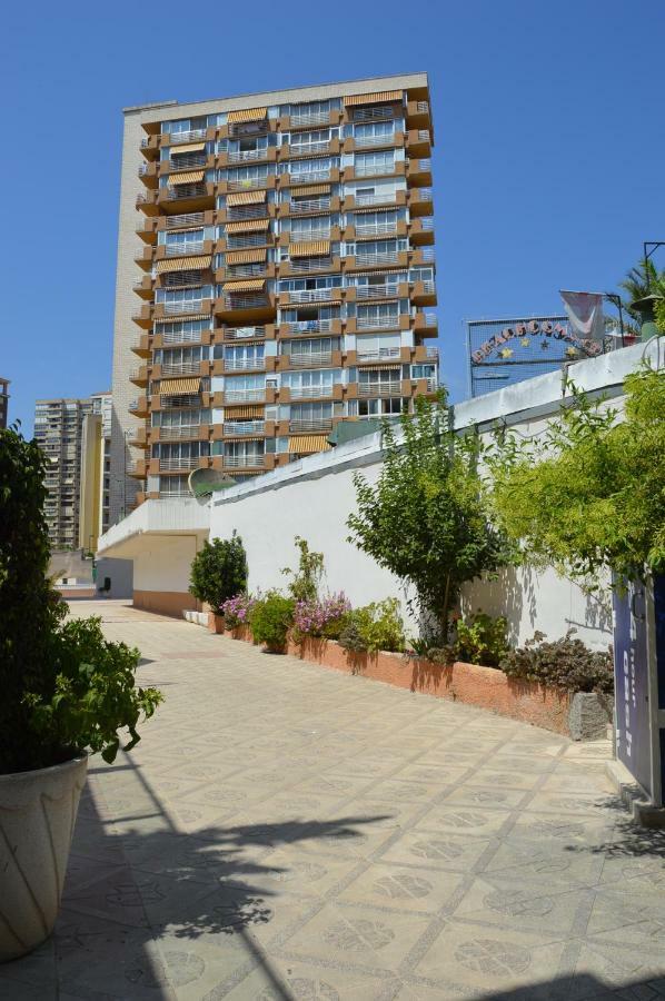 Provima Anis Lägenhet Benidorm Exteriör bild